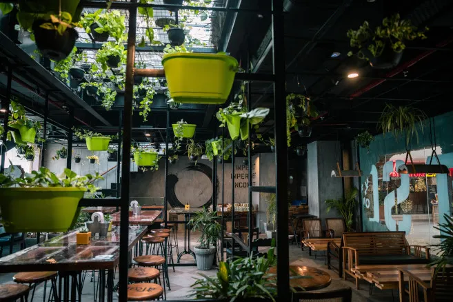 A coworking space with plants